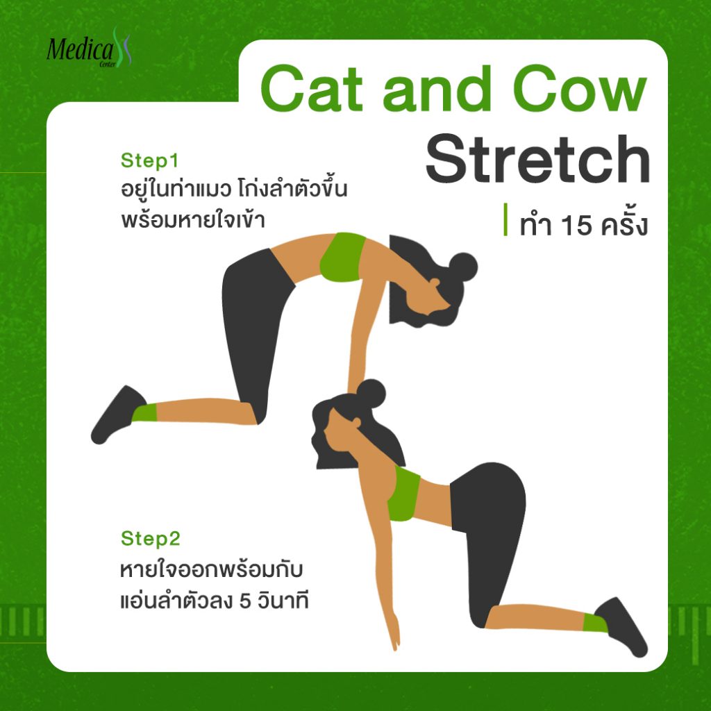 Cat and Cow Stretch ท่าออกกำลังกายเพิ่มความสูง