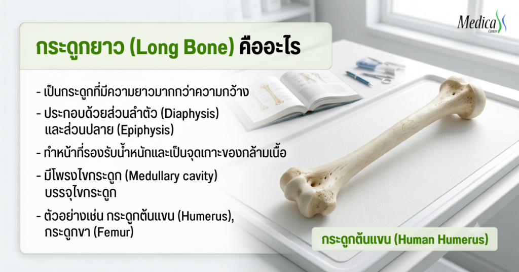 กระดูกยาว (Long Bone) คืออะไร-เมดิก้าคลินิกความสูง