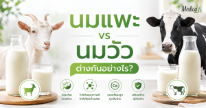 นมแพะ vs นมวัว ต่างกันอย่างไร-เมดิก้าคลินิกความสูง